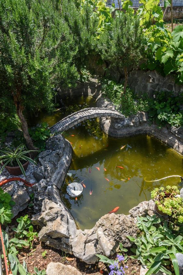 Апартаменти Vikeli Трогір Екстер'єр фото